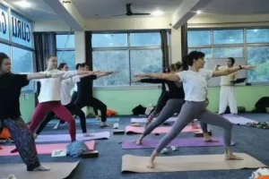 Finding the Perfect Yoga Teacher Training