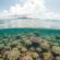 Exploring the Great Barrier Reef A Complete Guide