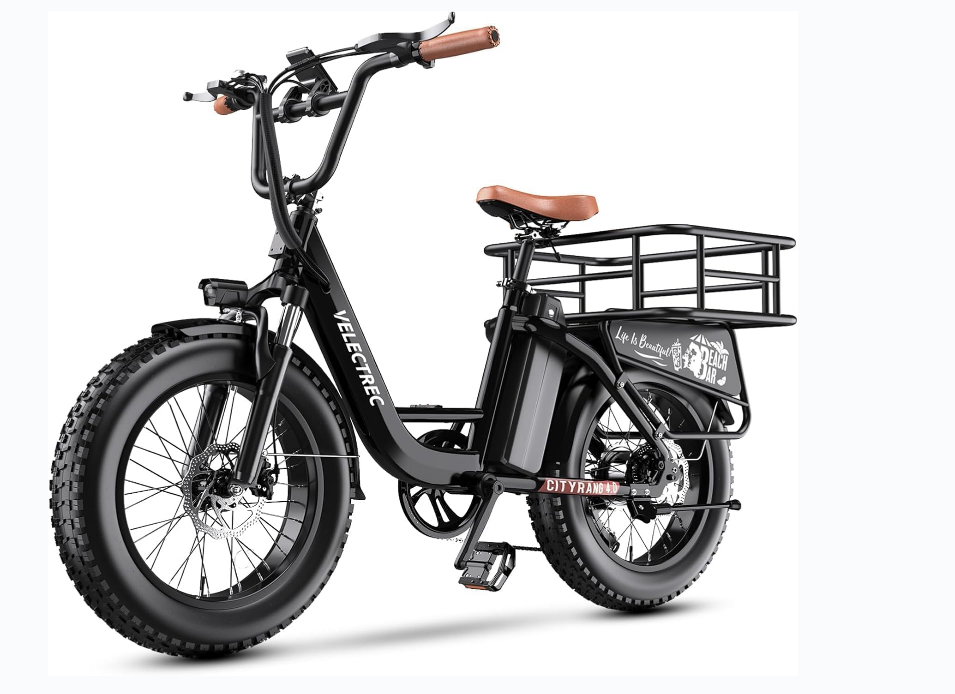 Cargo Electric Bike
