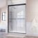 Frameless Glass Shower Door