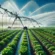 Innovative Irrigation Systems: Revolutionizing Water Management in Farming