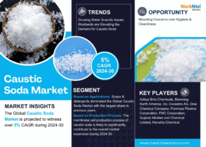 Global Caustic Soda Market