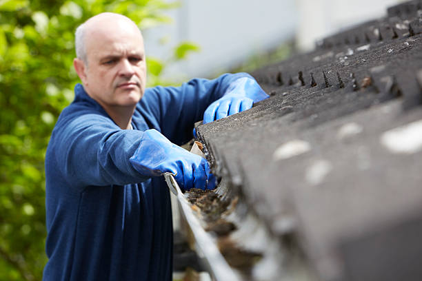 Gutter cleaning