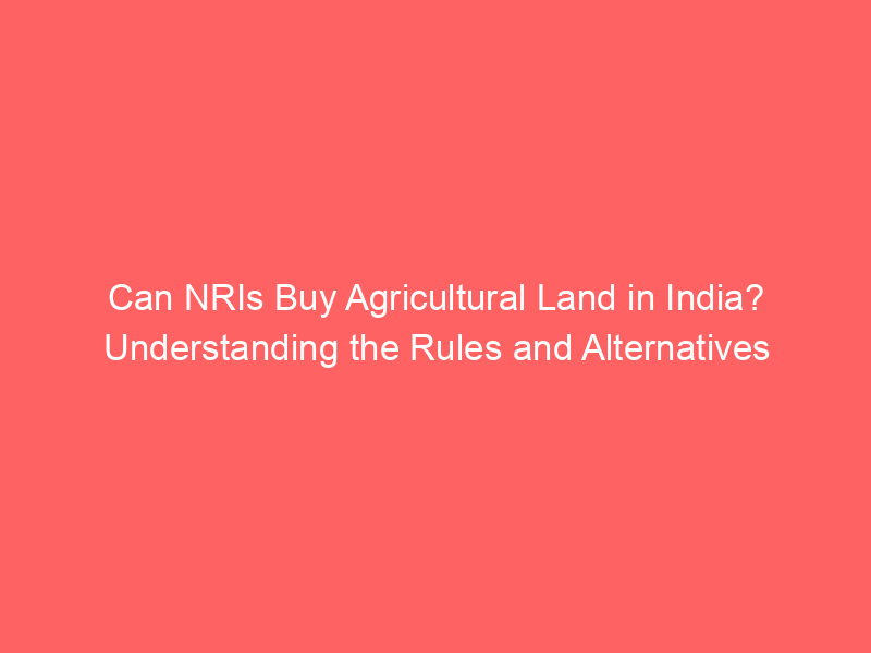 Can NRIs Buy Agricultural Land in India? Understanding the Rules and Alternatives post thumbnail image