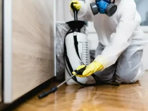 pest-control-in-mississauga