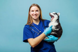 Pet Health Clinic