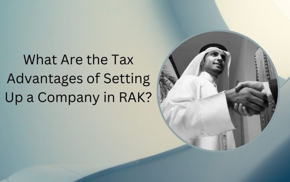 Rak Company Formation