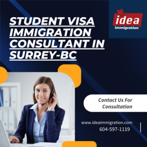 student visa consultant