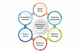 What does consulting services do?