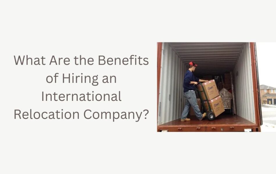 international relocation companies in dubai