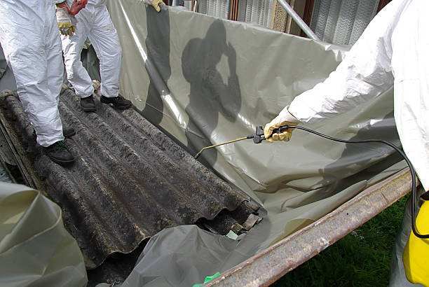 asbestos removal Norwich