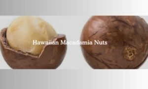 macadamia nuts