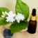 Jasmine Attar & Jasmine Essential Oil