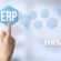 The Synergy of ERP and HRMS Software: A Blueprint for Business Success