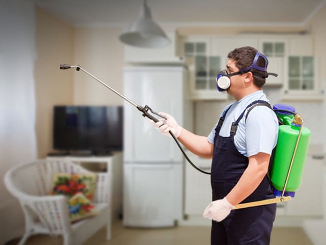 pest-control-nyc