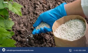 Water-soluble Fertilizers (WSF) Manufacturing Plant Project Report