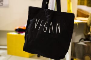 vegan fashion in India