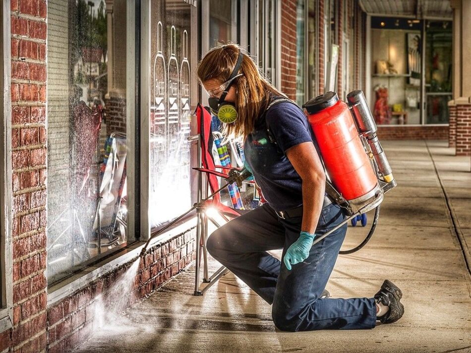 Commercial-pest-control-new-york