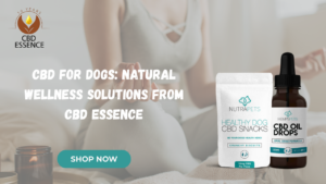 CBD for Dogs
