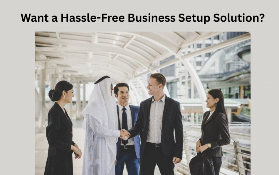 Want a Hassle-Free Business Setup Solution?