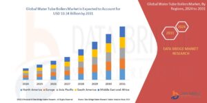 Water Tube Boilers Market