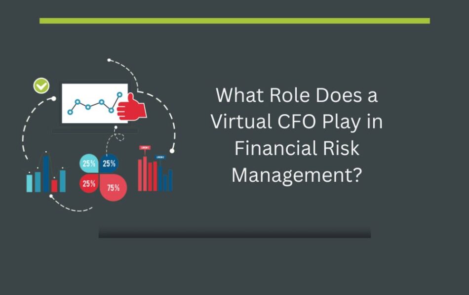 What Role Does a Virtual CFO Play in Financial Risk Management