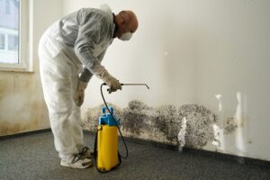 emergency water damage restoration