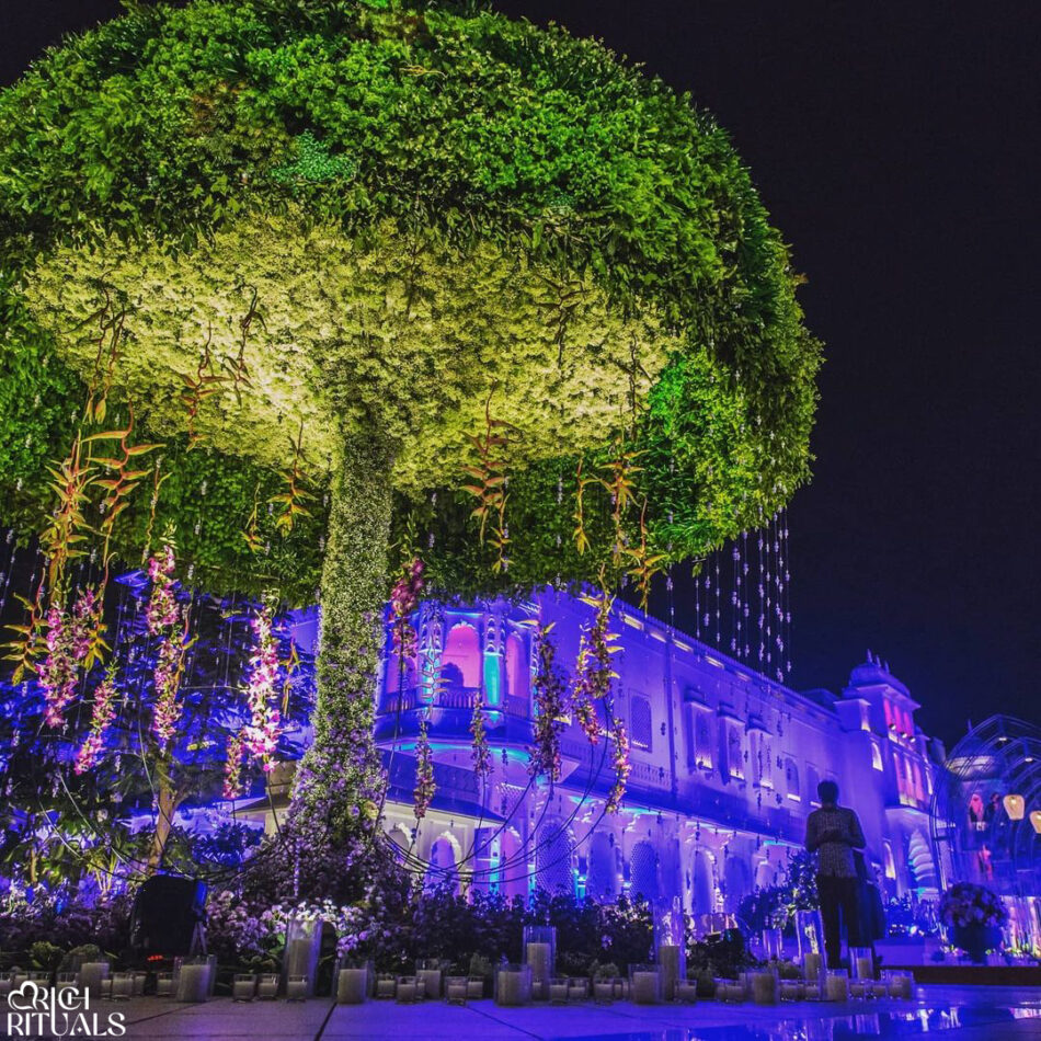 Wedding Planner in Jaipur