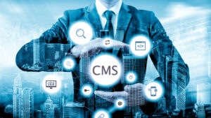 professional cms website development