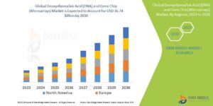 Deoxyribonucleic Acid (DNA) and Gene Chip (Microarrays) Market
