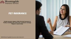 Pet Insurance
