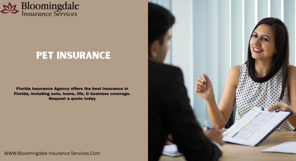 Pet Insurance