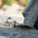 Concrete Superplasticizers Market Projected Revenue of USD 11.27 Billion by 2031