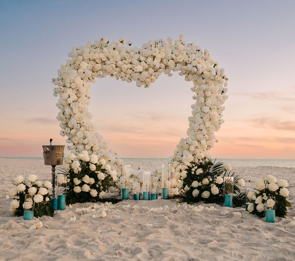 Proposals Planning Anna Maria