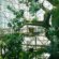 green-planet-dubai-1