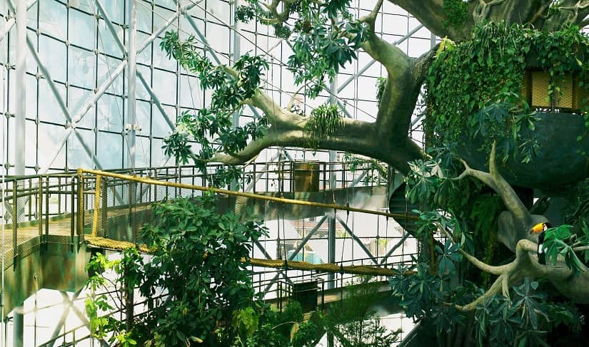 green-planet-dubai-1