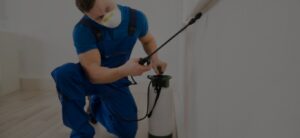Termite Control Services: A Guide to Protecting Your Property