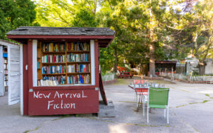 How Connecticut Yankee Publishing Supports Local & Independent Authors