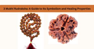 3 Mukhi Rudraksha A Guide to Its Symbolism and Healing Properties