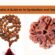 3 Mukhi Rudraksha A Guide to Its Symbolism and Healing Properties