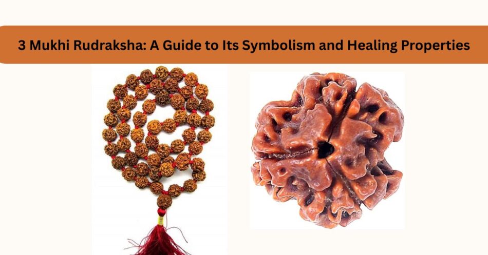 3 Mukhi Rudraksha A Guide to Its Symbolism and Healing Properties