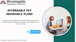 Affordable Pet Insurance Plans