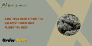 Baby Yoda Weed Strain