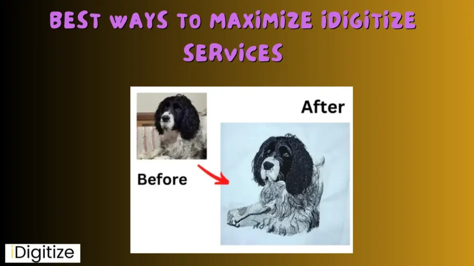 Best Ways to Maximize iDigitize Services