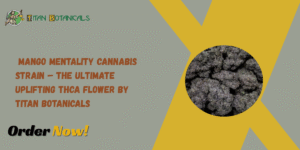Mango Mentality Cannabis Strain