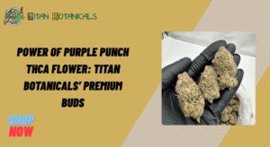 Purple Punch THCA Flower