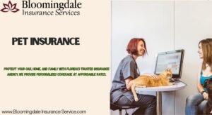 pet insurance