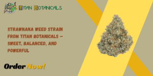 Strawnana Weed Strain