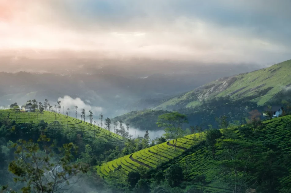 Pre Wedding Shoot Locations in Kerala