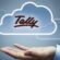 Is Tally Suitable for Small and Medium Enterprises (SMEs)?